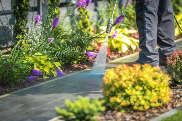Best Parking Lot and Garage Cleaning  in Aptos Hills Larkin Valley, CA